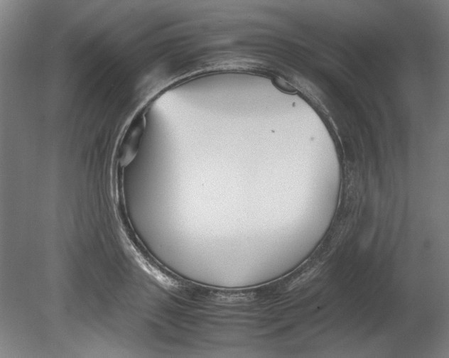 X0000080660843200701050940