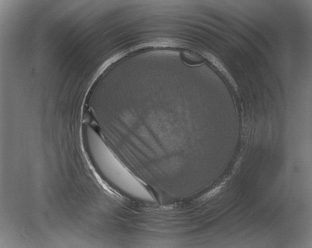 X0000080660845200701050941