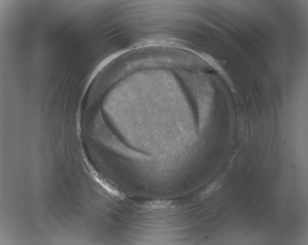 X0000080660846200701050941