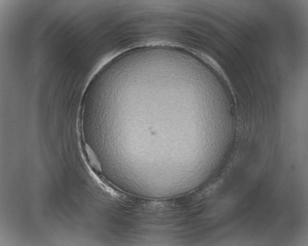 X0000080660847200701050941