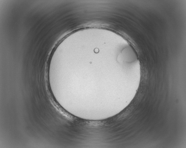 X0000080660848200701050941