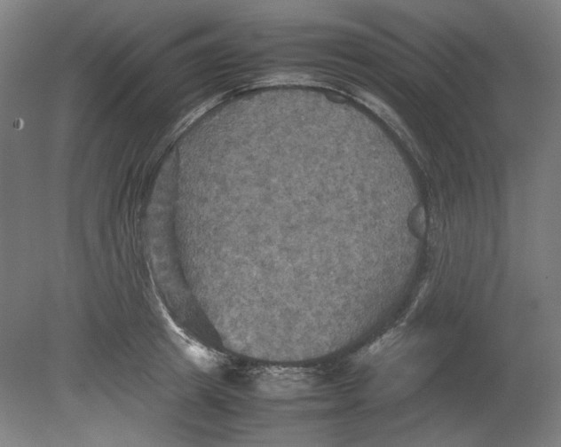 X0000080660849200701050941