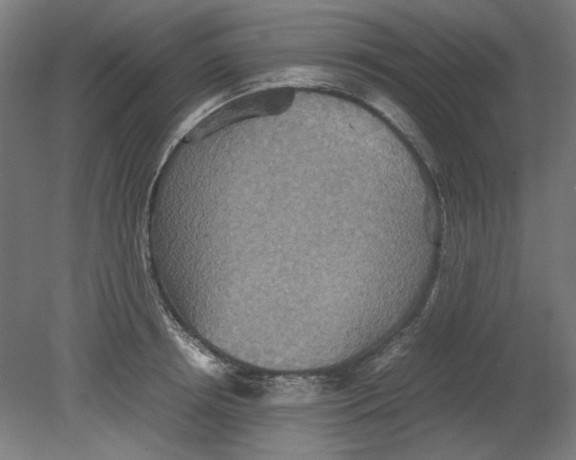 X0000080660850200701050941