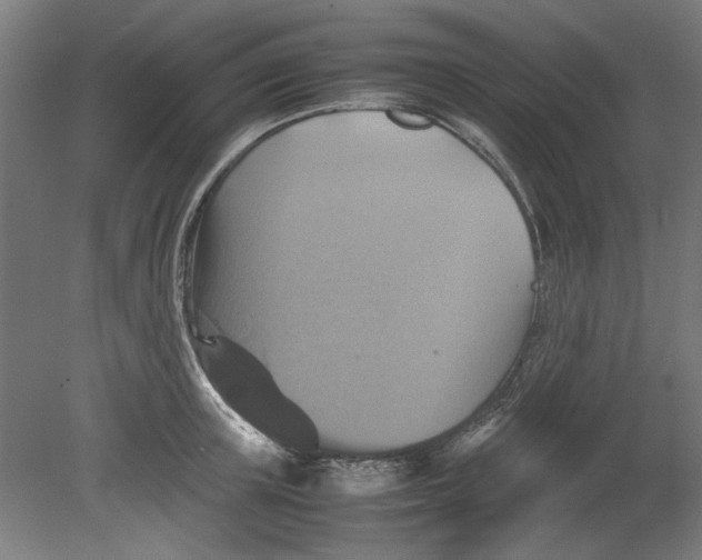 X0000080660851200701050941