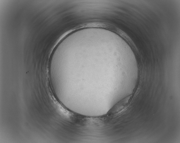 X0000080660852200701050941