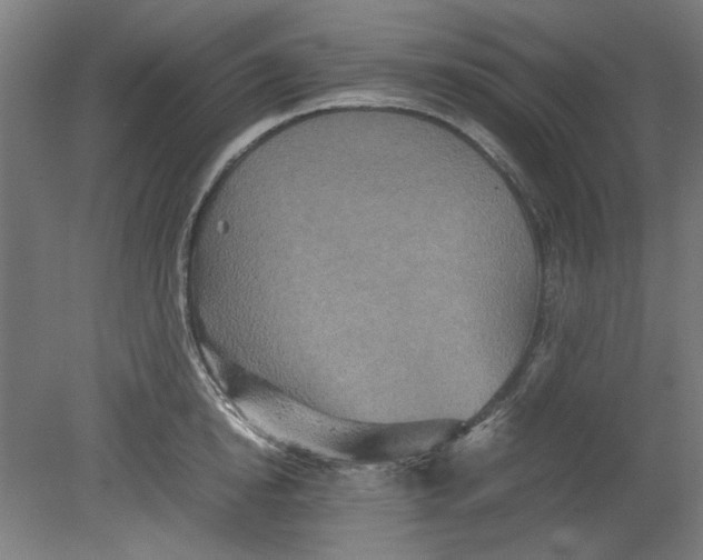 X0000080660854200701050941