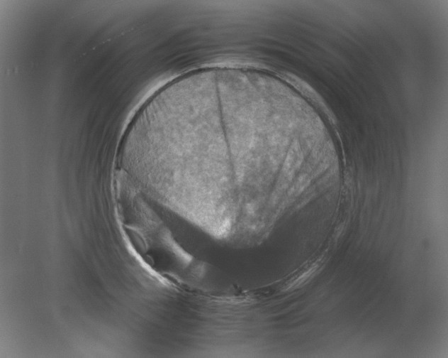 X0000080660855200701050941