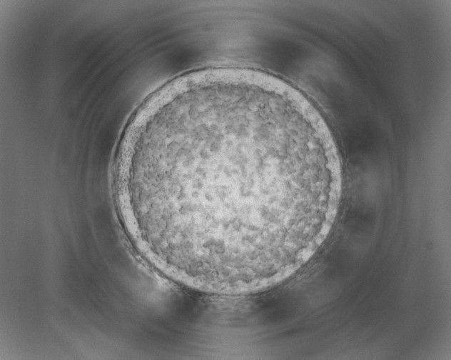 X0000080660856200701050941