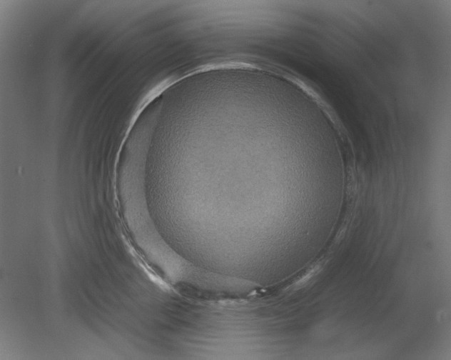 X0000080660858200701050941