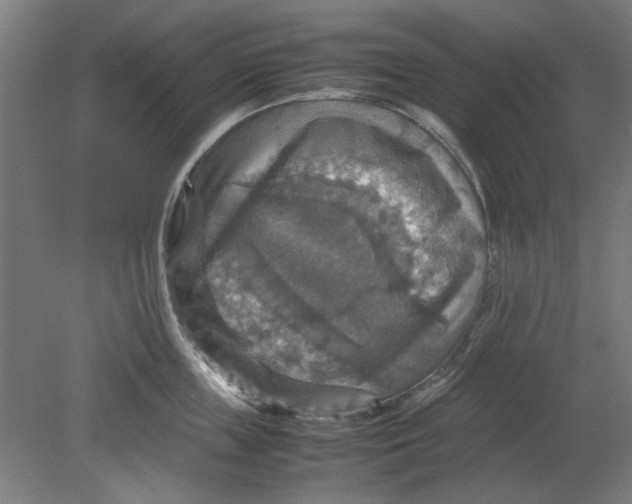 X0000080660859200701050941