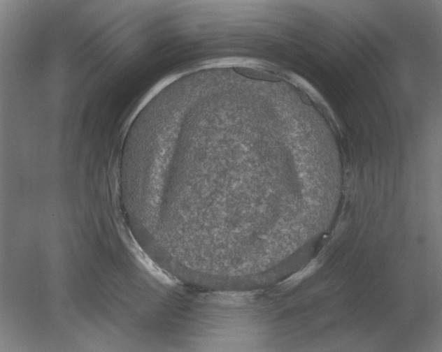 X0000080660860200701050941