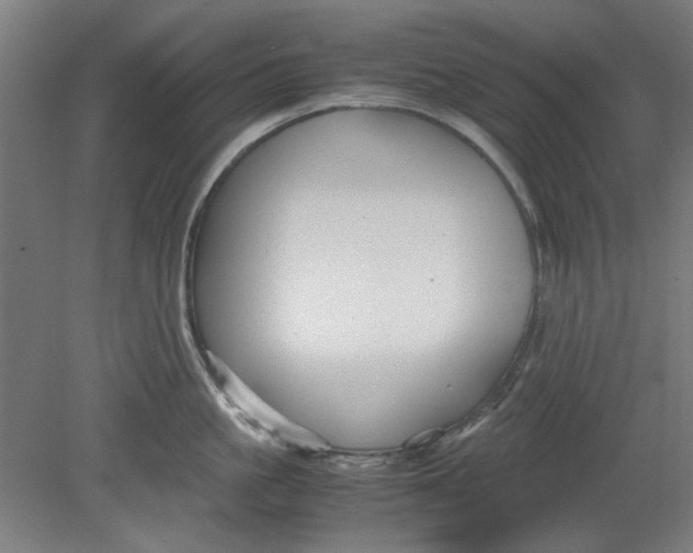 X0000080660861200701050941