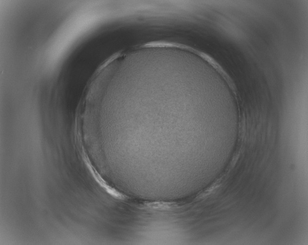 X0000080660862200701050941