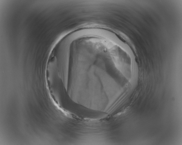 X0000080660863200701050941