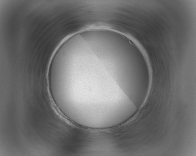 X0000080660864200701050941