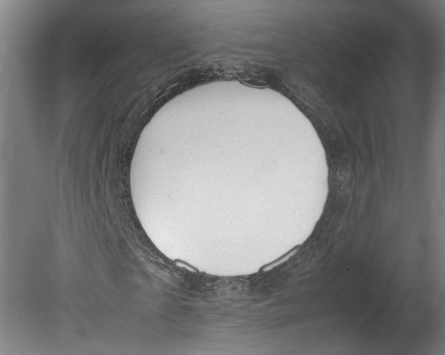 X0000080660865200701050940