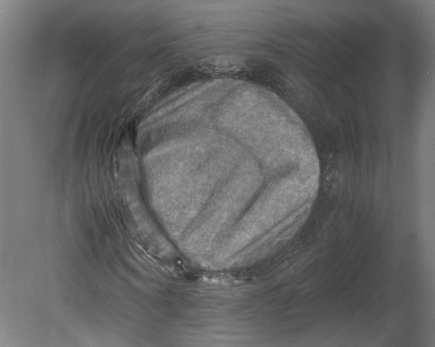 X0000080660866200701050940