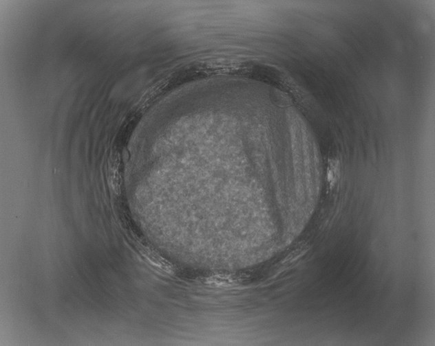 X0000080660867200701050940