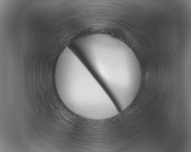 X0000080660868200701050940