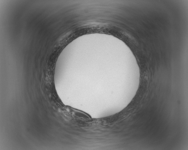 X0000080660869200701050940