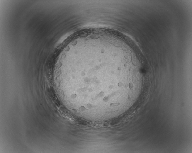 X0000080660871200701050940