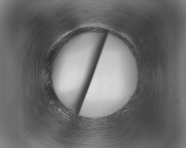 X0000080660872200701050940