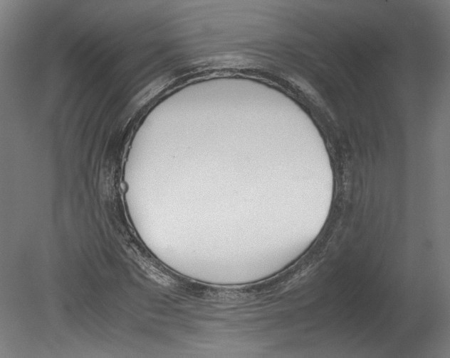 X0000080660873200701050940