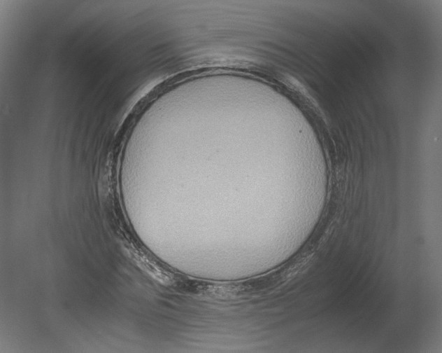 X0000080660875200701050940