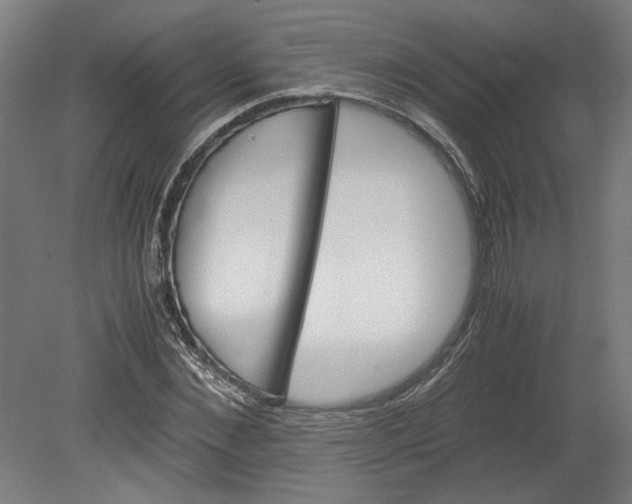 X0000080660876200701050940