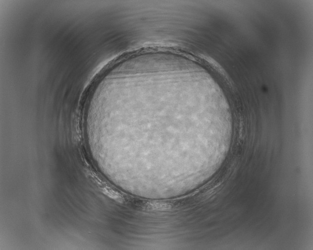 X0000080660878200701050940