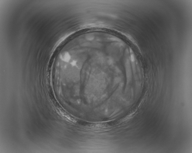 X0000080660879200701050940