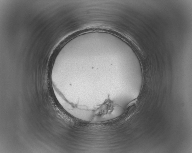 X0000080660880200701050940