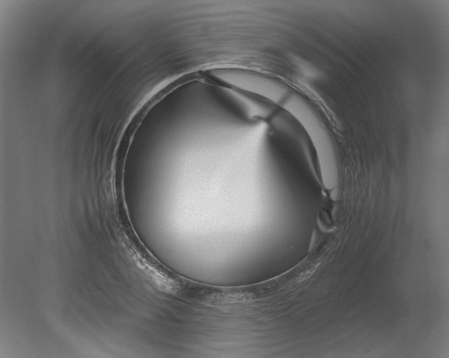 X0000080660884200701050940