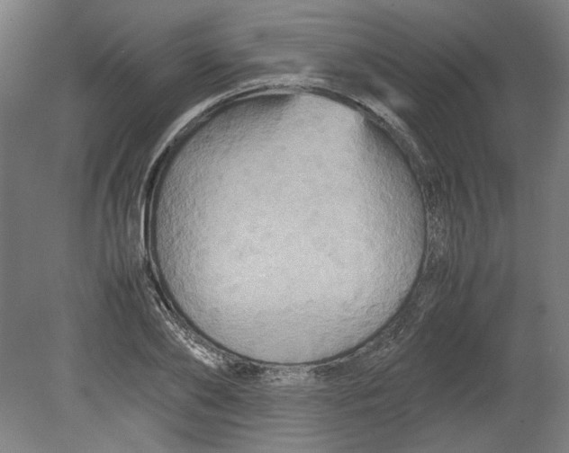 X0000080660886200701050940