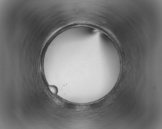 X0000080660887200701050940