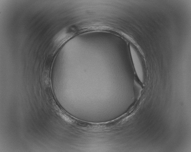 X0000080660889200701050940