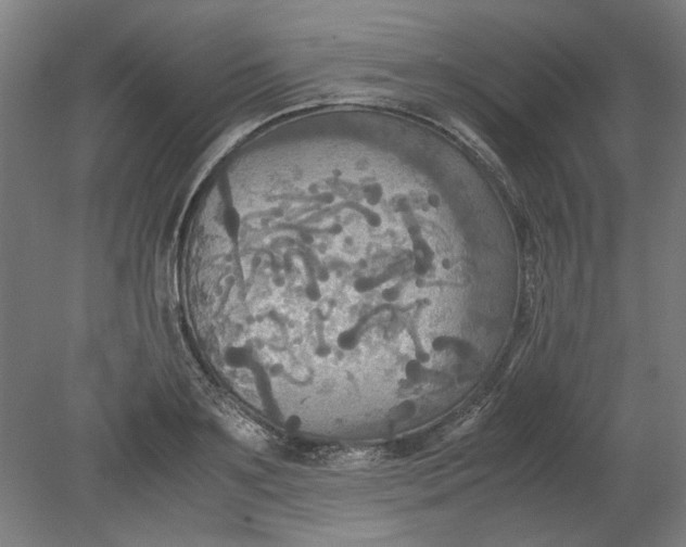 X0000080660891200701050940