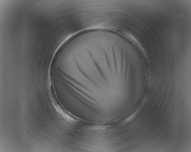 X0000080660892200701050940