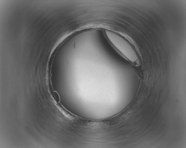 X0000080660894200701050940