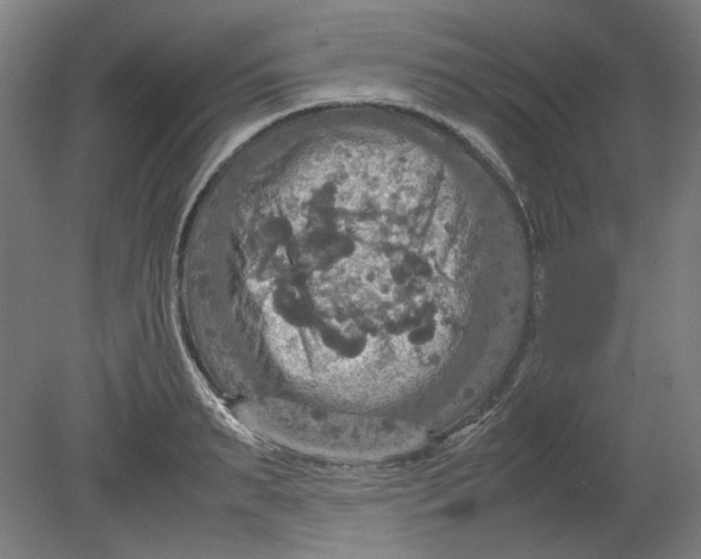 X0000080660895200701050940