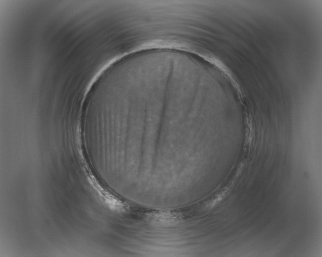 X0000080660896200701050940