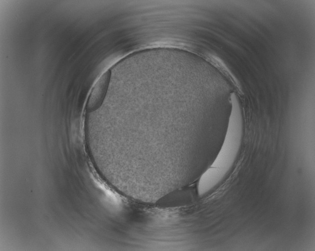 X0000080660900200701050939