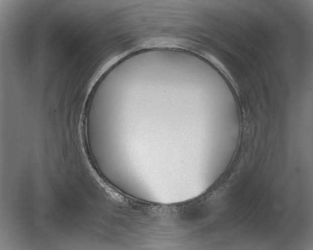 X0000080660901200701050939