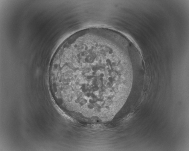 X0000080660903200701050939