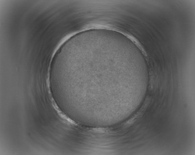 X0000080660904200701050939