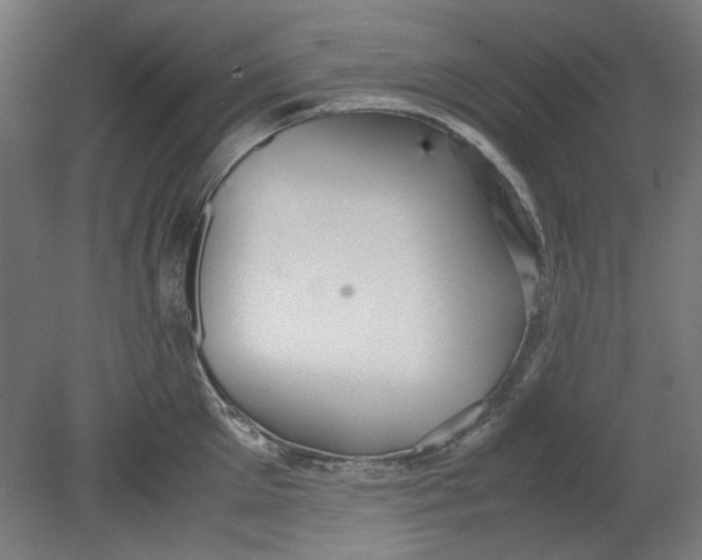 X0000080660905200701050939