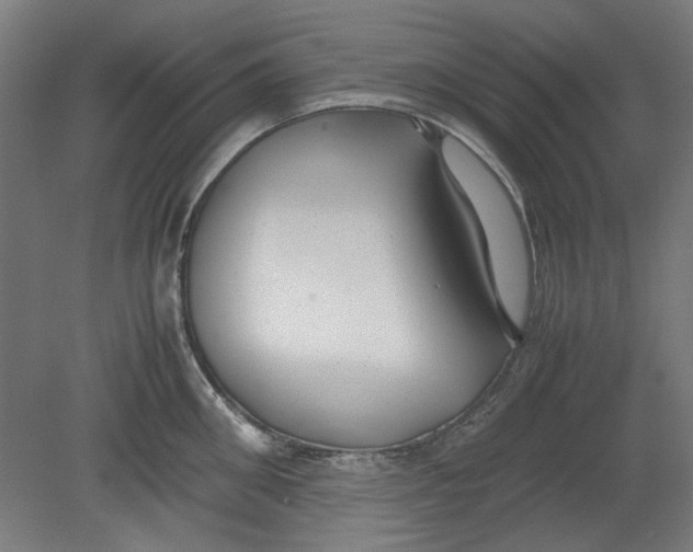 X0000080660906200701050939