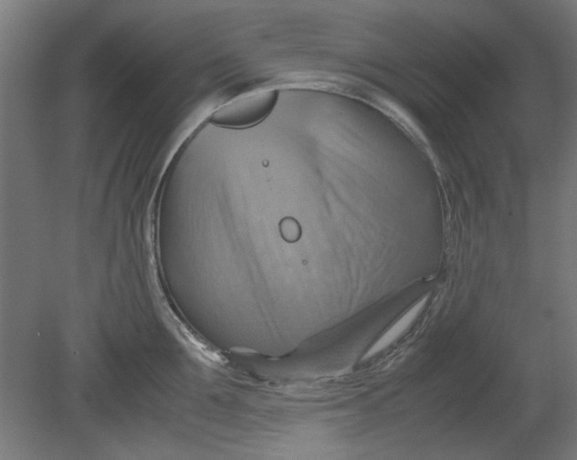 X0000080660907200701050939