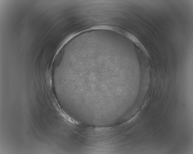 X0000080660908200701050939