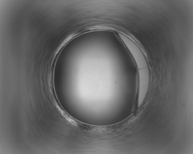 X0000080660909200701050939